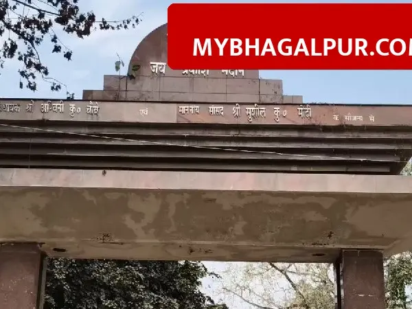 Bhagalpur के Sandis Compound में अचानक मरने लगे दर्जनों कौवे, Bird Flu के डर से प्रशासन ने शुरू की जांच