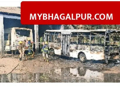 भागलपुर बस डिपो में दो लंगूरों की लड़ाई ने मचाया तांडव, 440 वोल्ट का तार गिरने से बस में लगी भीषण आग