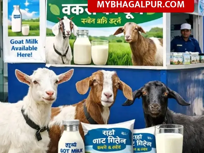 Bihar Govt New Policy: बिहार सरकार का बड़ा फैसला, अब सुधा बूथ पर मिलेगा बकरी का दूध, पशुपालकों को मिलेगी 90% की भारी सब्सिडी